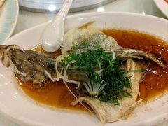 -渔意楼·驰名沙田乳鸽(五羊旗舰店)