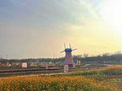 -武汉紫薇都市田园