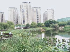 -新江湾城公园