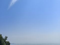 -巴陵全鱼席(湖南老字号汴河街店 )