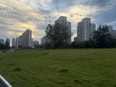 -大望京公园