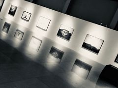 -中国艺术研究院油画院