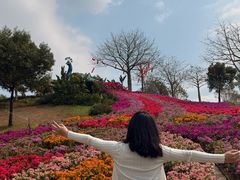 -东莞植物园