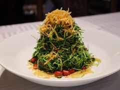 巧拌豆苗-四季民福烤鸭店(王府井灯市口店)