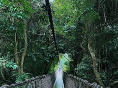 -亚龙湾热带天堂森林公园