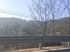 -江南天池
