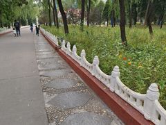 -森林公园(尖草坪区)