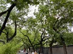 -北京国子监胡同