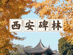 -西安碑林博物馆