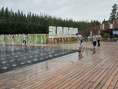 -黄海国家森林公园