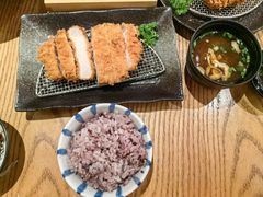 -胜博殿日式炸猪排(富力广场店)