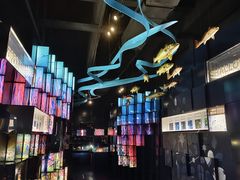 -同济大学四平路校区深海探索馆