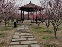-南湖湿地公园