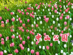 -运动派(北京店)