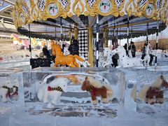 -沈阳奥体冰雪嘉年华
