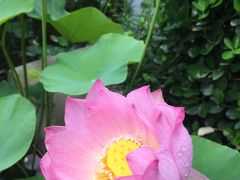 -徐州中汇国际会议中心