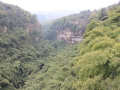 -川西竹海景区