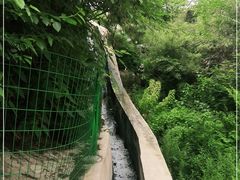 -白水寺森林公园