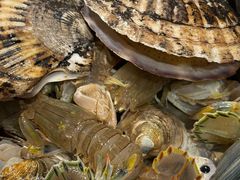 -一方渔歌蒸汽海鲜自助(文化路万达广场店)