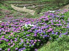 -鼓岭旅游度假区