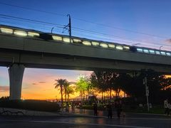 -宝安西湾红树林湿地公园