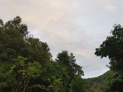 -世间香境·七溪地