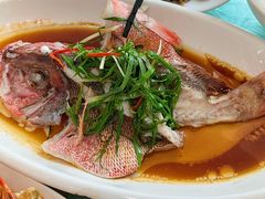 -众味海鲜大排档·活海鲜·潮汕味(南澳店)