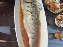 清蒸白丝鱼-七的湖·江南蟹舫·阳澄湖农家菜(蟹舫苑店)