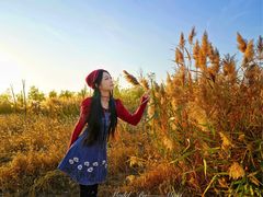 -天津东丽湖风景区