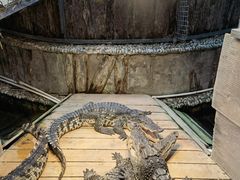 -呀路古热带植物园