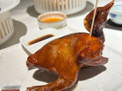 -侨美食家·41年地道粤菜(恒福路店)