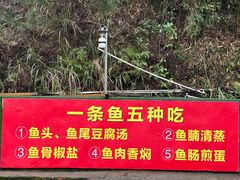 -姑婆山旅游区