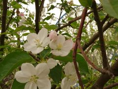 -济南方特东方神画