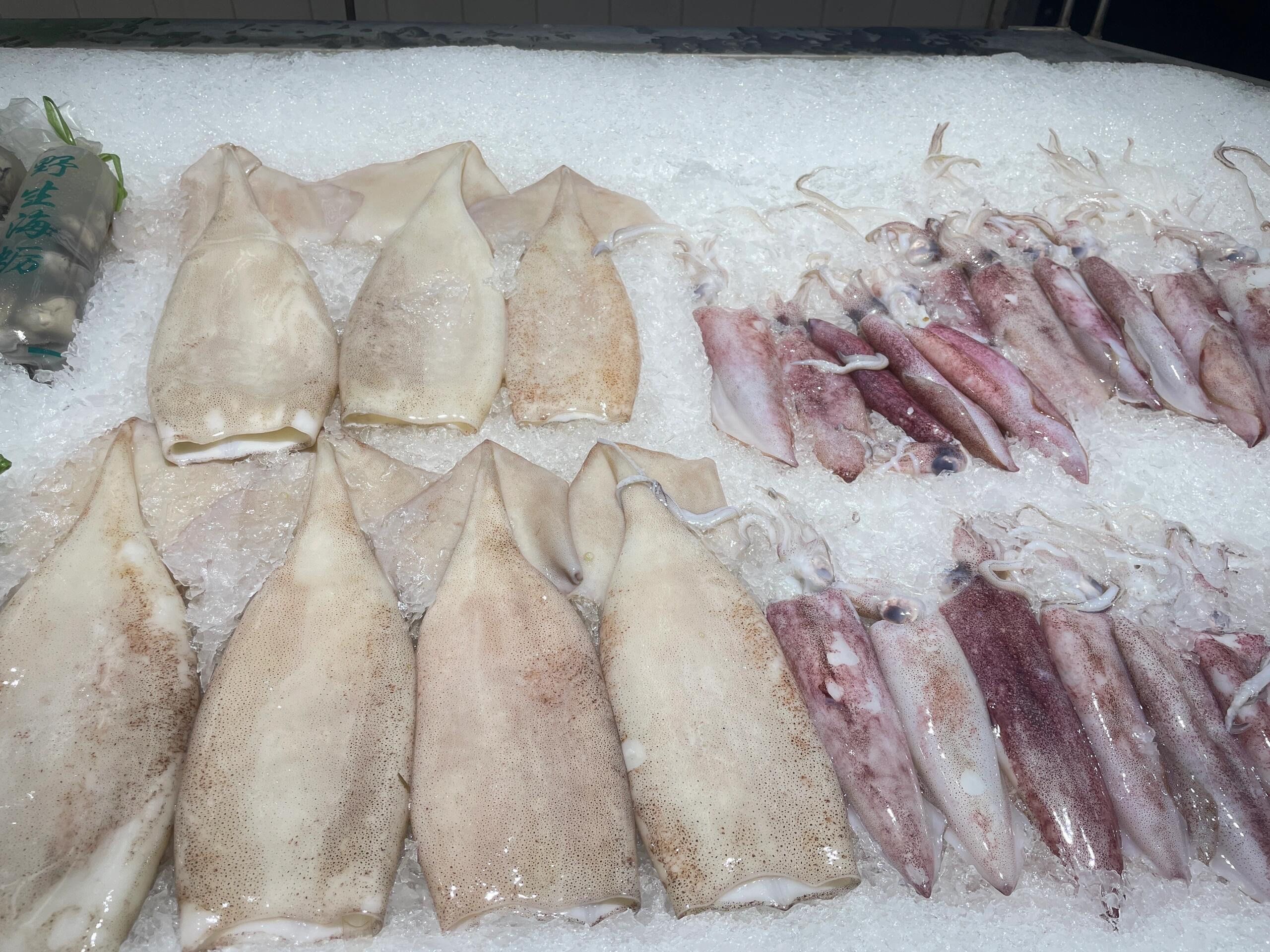 求问这两种鱿鱼有什么区别?