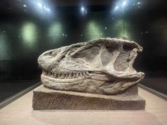 -自贡恐龙博物馆