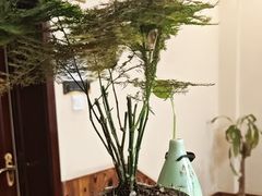 -竹雀古法采耳(青岛麦凯乐店)