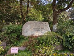 -杭州半山国家森林公园