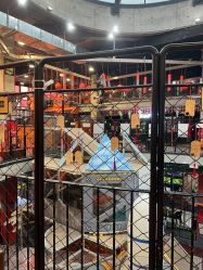 -嗨翻Hi-Fun竞技主题乐园·蹦床团建生日聚会(五棵松华熙店)