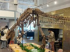 -FAIRYLAND龙族星球主题餐厅(凯丹广场店)