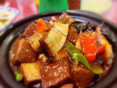 养生黑豆腐煲-呼吸森林·生态农庄农家乐私房菜