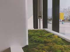 -喜茶(永旺梦乐城店)