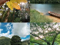 -广州市石门国家森林公园