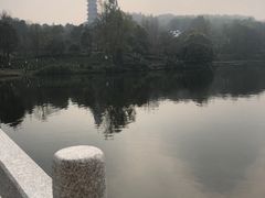-重庆园博园