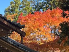 -三千院