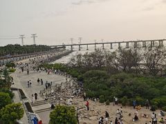 -宝安西湾红树林湿地公园