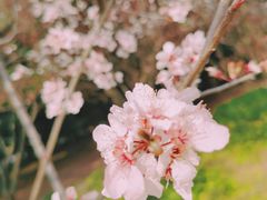 -黄兴公园