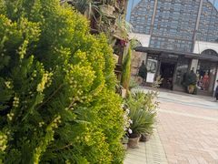 -比斯特上海购物村精品奥特莱斯