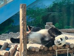 -大连森林动物园