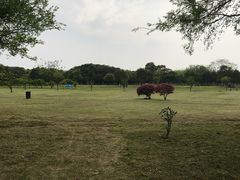 景点-艾溪湖湿地公园