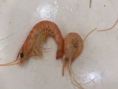 -山东八大碗山东老字号